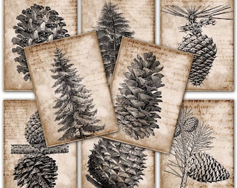 Christmas trees and pine cones, vintage botanical shabby - Gift tags,  Printable Digital Collage Sheet to Download and Print 171