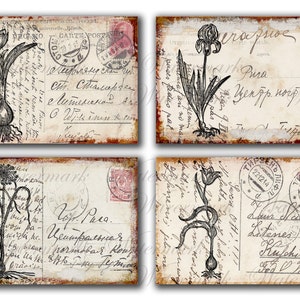 Fiori vintage su vecchie CARTOLINE, tulipani primaverili, iris, lettere 4x6 - Etichette regalo, fogli di collage digitali stampabili da scaricare e stampare