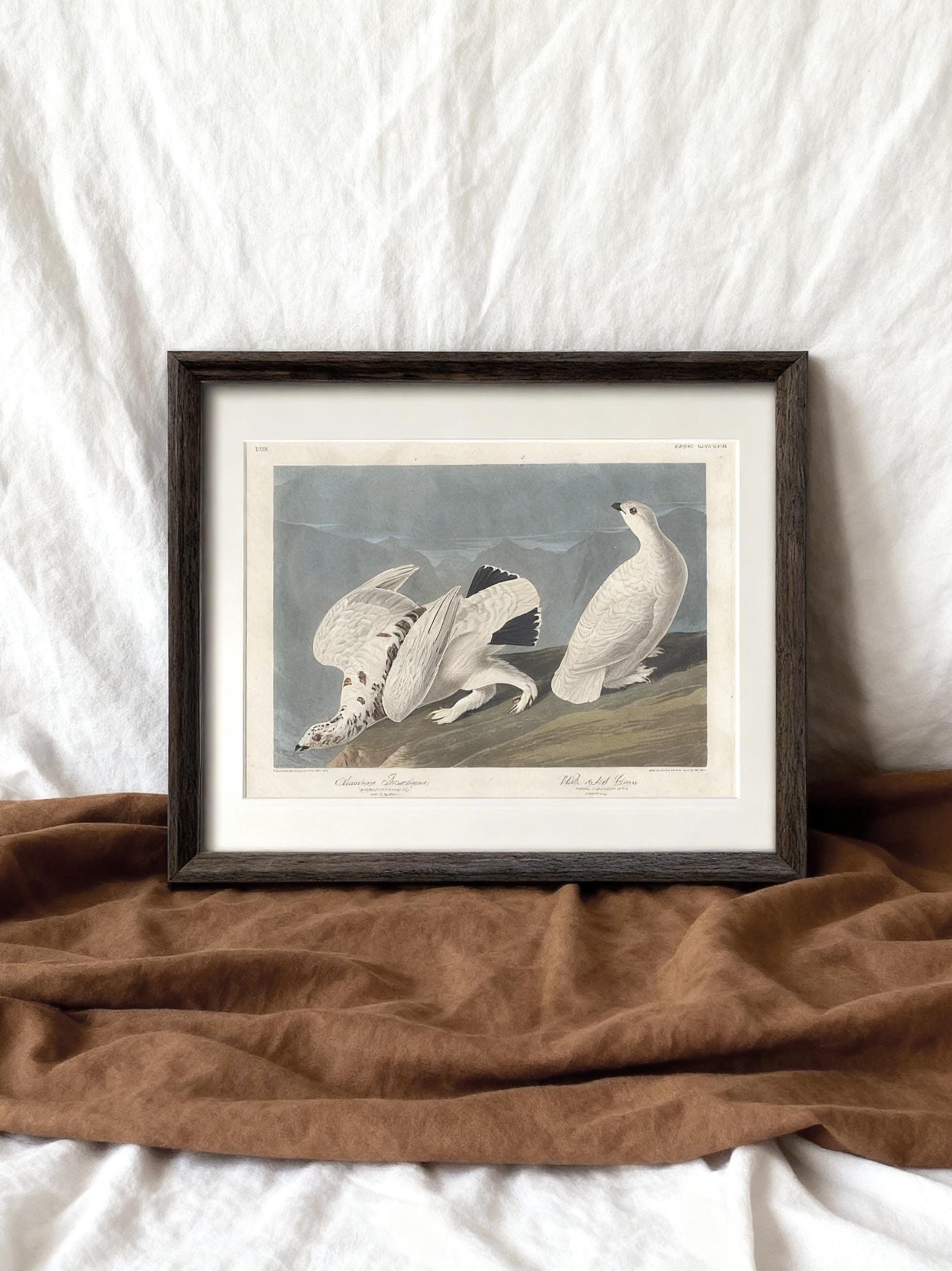 Bird Art Print in Solid Wood Frame Wildlife Wall Decor - Etsy