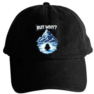 May include: Black baseball cap with a curved brim. The cap features a graphic of a penguin in front of an iceberg with the text "BUT WHY?" in white. The design is centered on the front of the cap.