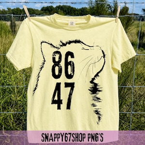 8647 Black Cat PNG T-Shirt, funny black cat lover gift, sarcastic meme graphic tee