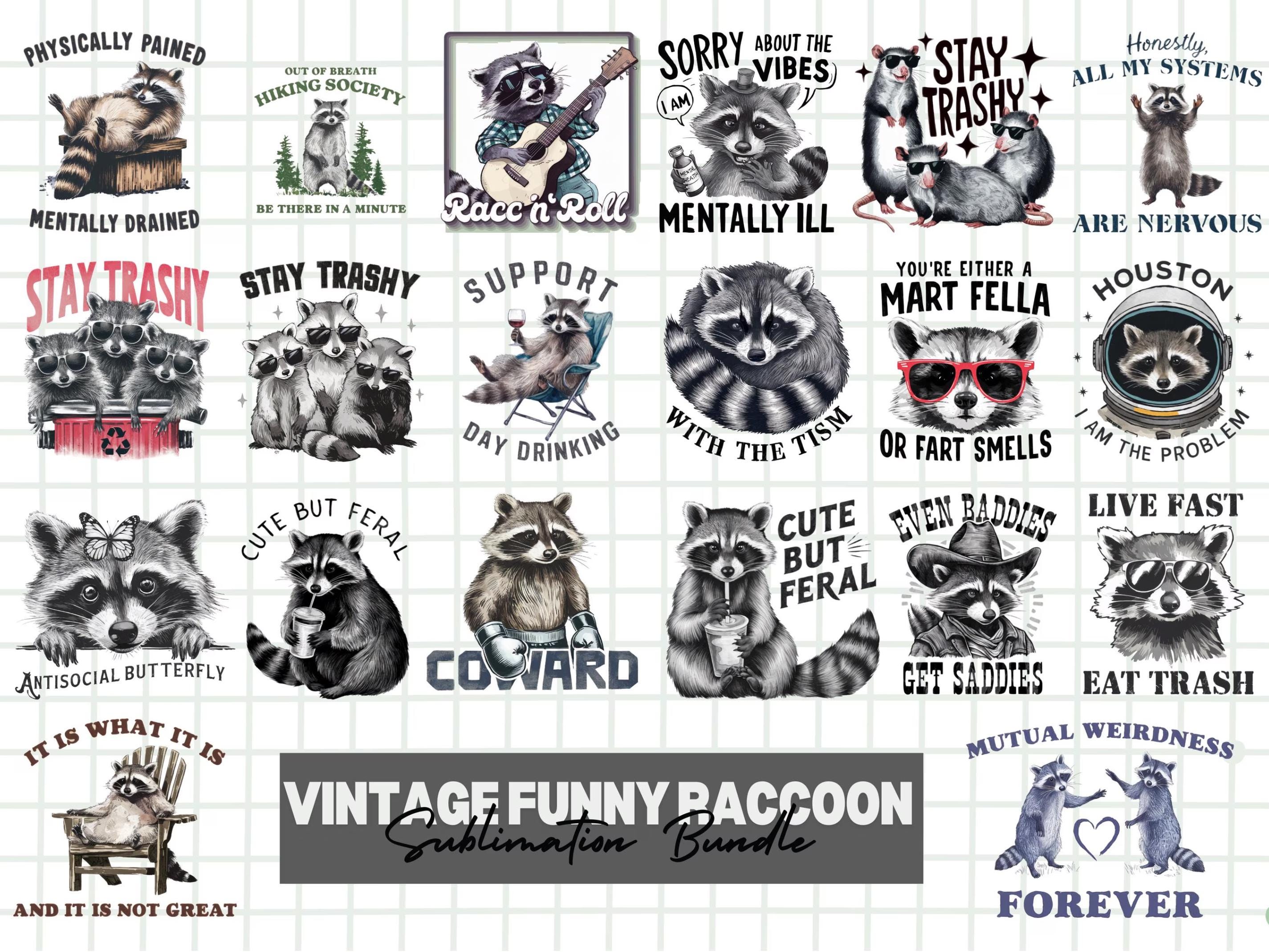 Vintage Funny Raccoon PNG Bundle | Quirky Retro Raccoon Designs for ...