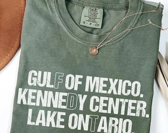 FDT Lake Ontario Kennedy Center Gulf of Mexico Shirt, Funny Protest Shirt, Comfort Colors® Pro-Democracy Activism Gift, Subtle FDT Shirt