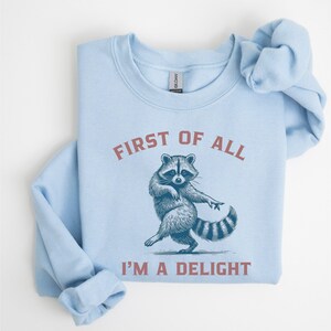 A light blue sweatshirt with the text "FIRST OF ALL I'M A DELIGHT" and a dancing raccoon graphic. The raccoon is in shades of blue and gray.
