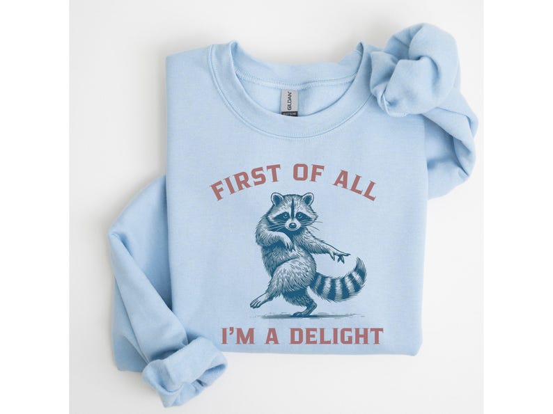 A light blue sweatshirt with the text "FIRST OF ALL I'M A DELIGHT" and a dancing raccoon graphic. The raccoon is in shades of blue and gray.