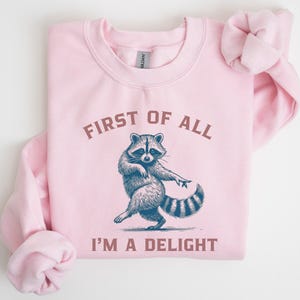 A light pink sweatshirt with the text "FIRST OF ALL I'M A DELIGHT" and a dancing raccoon graphic. The raccoon is in shades of blue and gray.