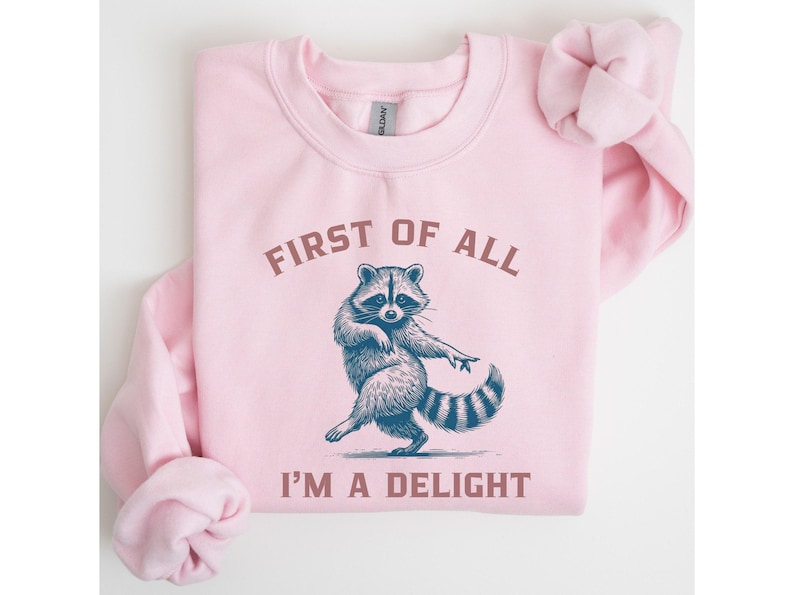 A light pink sweatshirt with the text "FIRST OF ALL I'M A DELIGHT" and a dancing raccoon graphic. The raccoon is in shades of blue and gray.