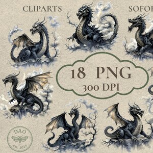 chinesische Drachen im water  color Look für Fantasie und Dark Academica | PDF| PNG mit tranparentem Hintergrund | sofort downloads