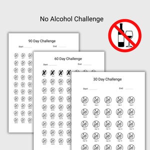 May include: Three white paper sheets with the text "No Alcohol Challenge" and challenge durations of 30, 60, and 90 days. Each sheet has a grid of circles to track progress, and a red circle with a crossed-out bottle and glass icon.