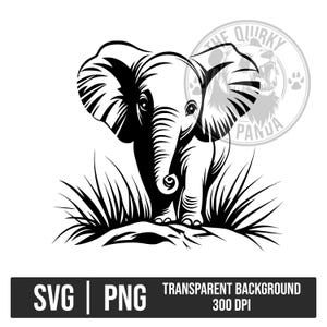 Baby elephant SVG PNG for cricut, Jungle & safari animals vector for DIY t-shirts, decals, cards, and nursery decor
