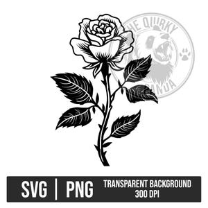 Könnte beinhalten: Schwarz-Weiß-Illustration einer Rose mit detaillierten Blütenblättern, Blättern und Stiel. Der Text "SVG | PNG TRANSPARENT BACKGROUND 300 DPI" ist enthalten, sowie ein Panda-Logo im Hintergrund.