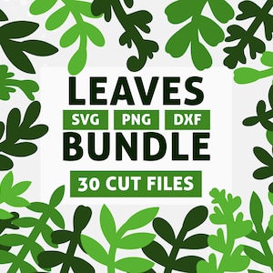 30 Leaves SVG Bundle: Simple Floral Elements for Cricut and other Cutting Machines
