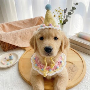 Op de afbeelding: Een gouden retriever puppy draagt een gele gehaakte feesthoed met een blauwe pompon en een bijpassende slabbetjeskraag. De kraag is wit, roze en geel met kleine blauwe pompons. Een label leest "Pet Party Treats".