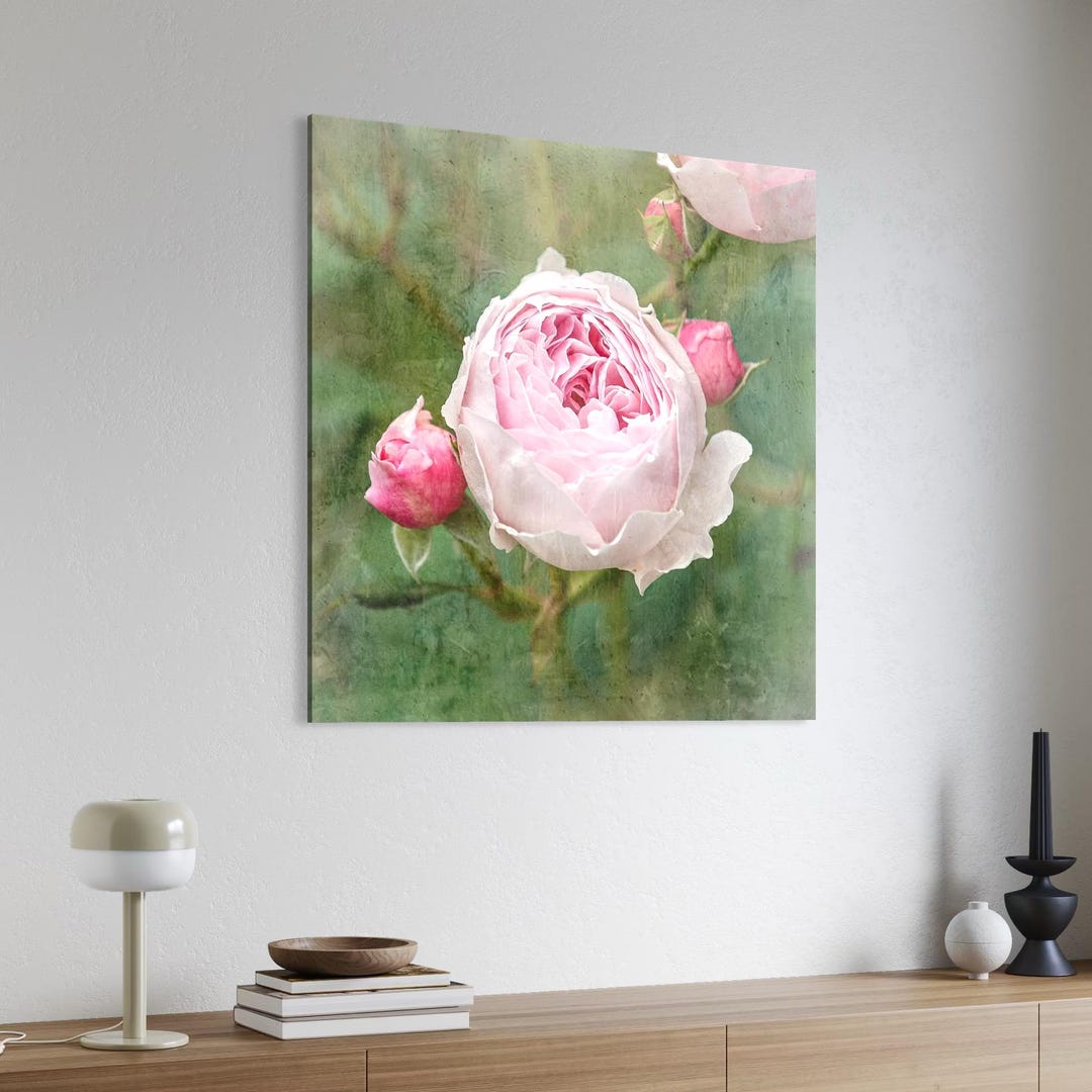 English Garden Pink Rose Canvas Print – Floral Wall Art - Home Décor ...