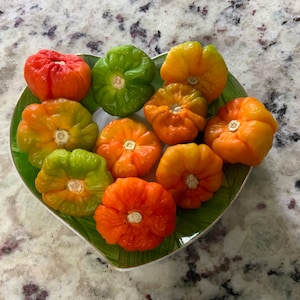 Aji Cachucha - Aji Dulce - Aju Gustoso - Ajicito - Seeds (Miami, Florida)