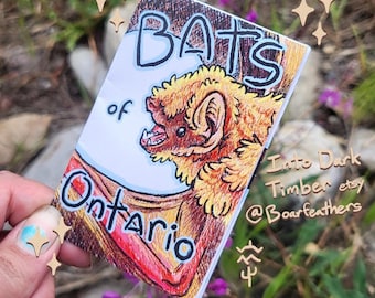 Bats of Ontario full color 8 page mini zine