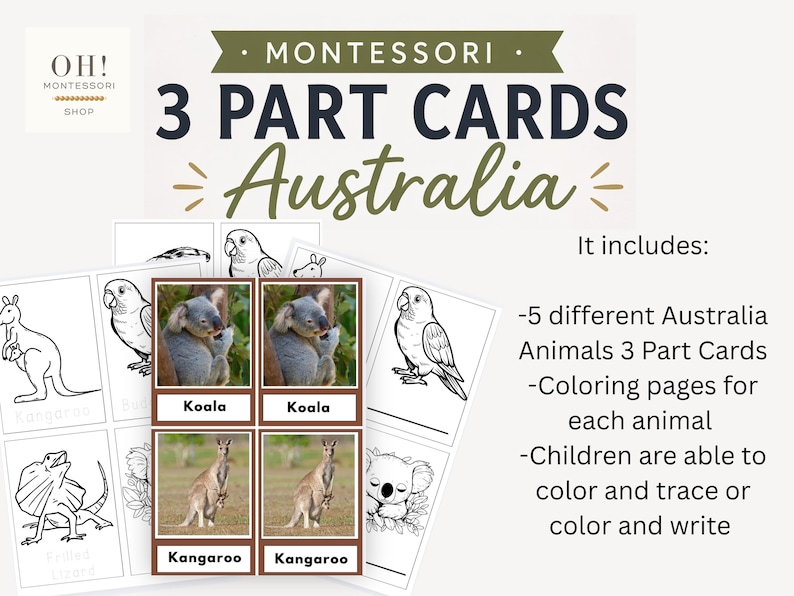Montessori 3 Part Cards Animals of Australia - Etsy