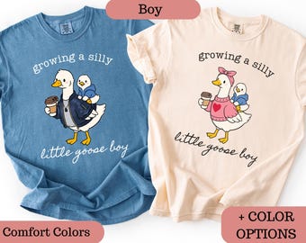 Custom Silly Goose Pregnancy Shirt, Announcement Tee, Funny Mom To Be Shirt For Baby Shower Reveal New Mom and promoted dad, Mothers day