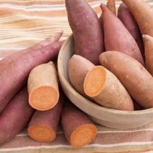 May include: A collection of sweet potatoes, some whole and others cut in half, displayed in a light-colored bowl and scattered on a striped cloth. The sweet potatoes vary in color from light tan to deep purple, with bright orange flesh.