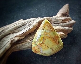 May include: A yellow, green, and orange cabochon gemstone with a marbled pattern. The gemstone is sitting on a piece of driftwood.