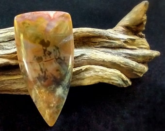 Coprolite Cabochon, Flattened Teardrop Shape, Cool Colors of Gold, Red and White, Fossilized Dino Poop, Semiprecious Gemstone