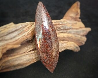 Dinosaur Bone Designer Cabochon, Arabesque Teardrop Shape, Dark Red Brown with Charcoal Gray Webbing, Metalsmithing Supplies