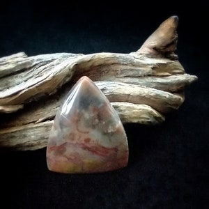 Coprolite Cabochon, Gothic Triangle Shape, Lovely Colors in Gold & Red, Fossilized Dino Poop, Semiprecious Gemstone