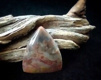 Coprolite Cabochon, Gothic Triangle Shape, Lovely Colors in Gold & Red, Fossilized Dino Poop, Semiprecious Gemstone
