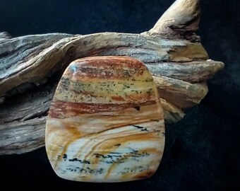 Petrified Wood Designer Cabochon, Washington State Origin, Barrel Shape Cabochon, Semiprecious Agate Gemstone for Jewelry Making