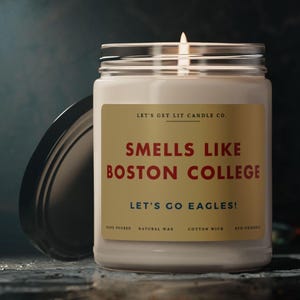Smells Like Boston College, Boston College Football Fan, Eagles, College Football, FBS, ACC, SEC, Go Eagles, Funny gift, Birthday, Unique