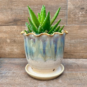 May include: A vibrant green aloe vera plant in a decorative ceramic pot with a matching saucer. The pot has a ruffled rim and a glaze with blue, green, and cream tones. The plant's spiky leaves are a bright green.