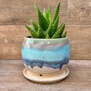 May include: A green aloe vera plant with spiky leaves is potted in a round, ceramic pot. The pot has a blue, brown, and cream-colored glaze. The pot sits on a matching saucer. The plant is a houseplant.