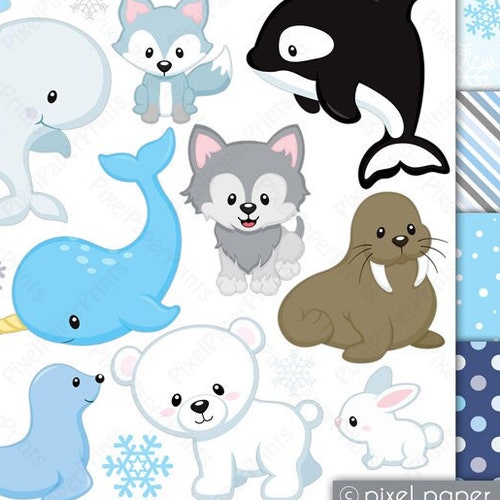 Arctic Animals Clipart and Paper Set Arctic Clipart - Etsy Arctic Animals Clipart and Paper Set Arctic Clipart - Etsy