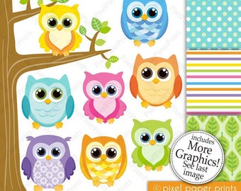 Owl clipart - OWL FRIENDS bright colors - Digital paper and clip art set - Owl clipart - Digital download