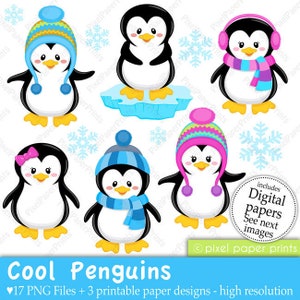 Penguin Clip Art - Winter Clipart - Penguin clipart - Digital Download - Digital Stickers