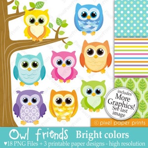 Owl clipart OWL FRIENDS bright colors Digital paper and clip art set Owl clipart Digital download image 1