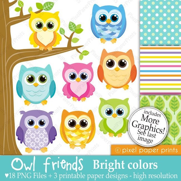 Owl clipart - OWL FRIENDS bright colors - Digital paper and clip art set - Owl clipart - Digital download