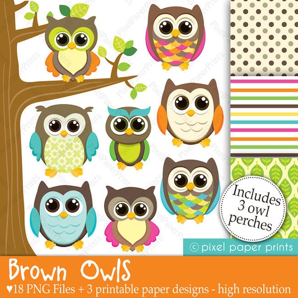 Owl Clip Art - Cute Owl Graphics - Printable Art for Crafts, POD, Sublimation, Digital Invitations, Scrapbooking and more! - PNG FILES