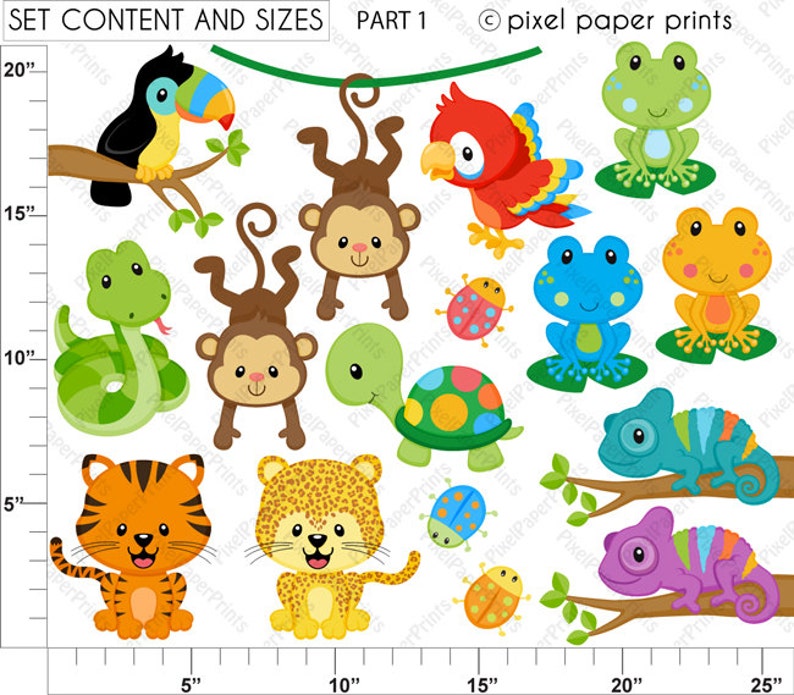 Rainforest PNG - Cute Rainforest Animals Clip Art - Digital Download ...
