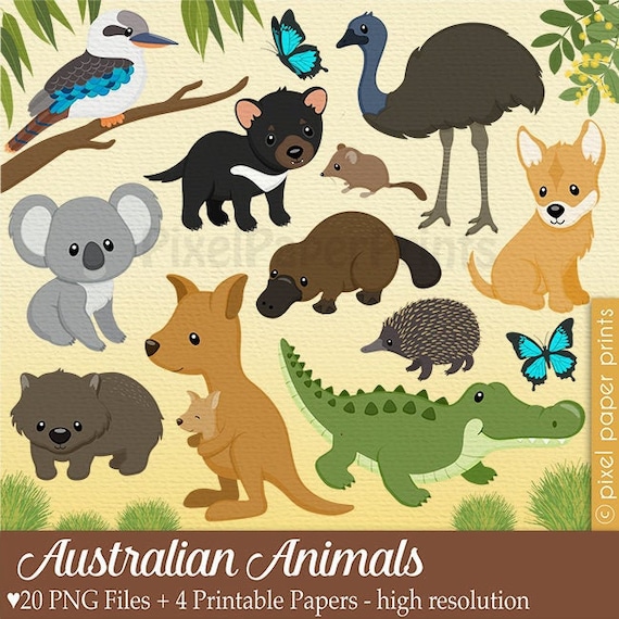 Download Australian Animals Clip Art Australia Clipart Digital Etsy