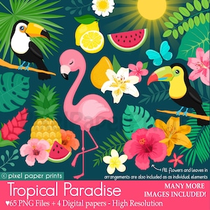 Paquete de imágenes prediseñadas tropicales PNG, flamenco, tucán, piña, hibisco, Hawaii, verano, imágenes prediseñadas para invitaciones, manualidades, pegatinas, descarga digital