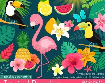 Tropical Clipart PNG Bundle Flamingo Toucan Pineapple Hibiscus Hawaii Summer Clip Art for Invitations Crafts Stickers Digital Download