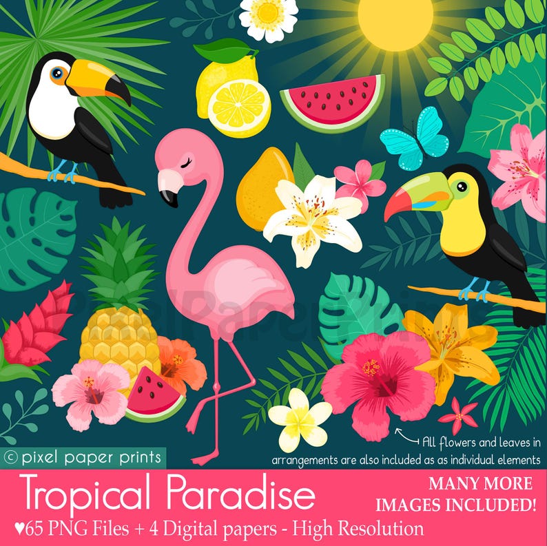 Tropical Clipart PNG Bundle Flamingo Toucan Pineapple Hibiscus Hawaii Summer Clip Art for Invitations Crafts Stickers Digital Download image 1