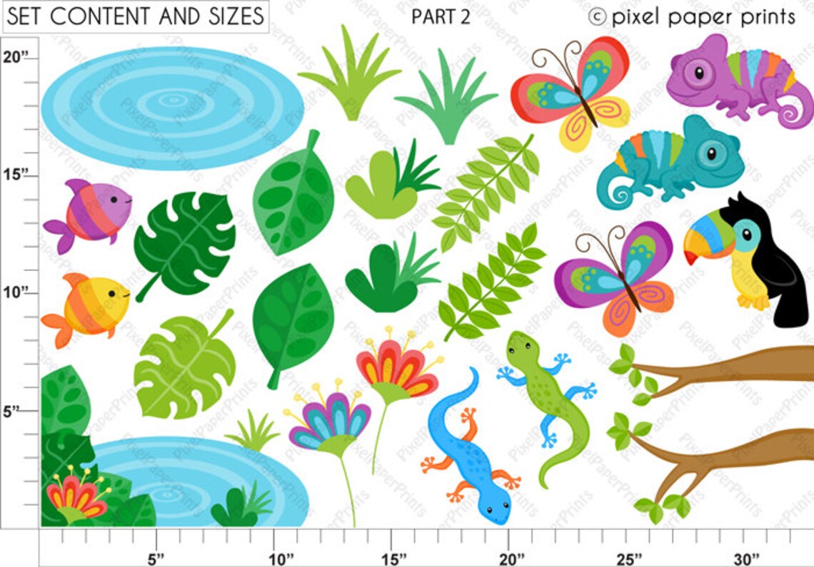 Rainforest PNG - Cute Rainforest Animals Clip Art - Digital Download ...