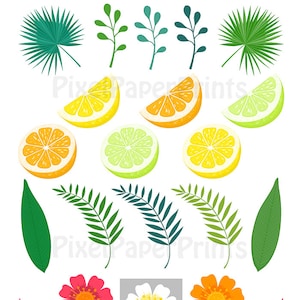 May include: A set of tropical fruit and flower illustrations, including a pineapple, mango, watermelon, banana, orange, lemon, lime, plumeria, ginger flower, and hibiscus. The illustrations are in a pixel art style and are perfect for crafting projects, scrapbooking, or digital design.