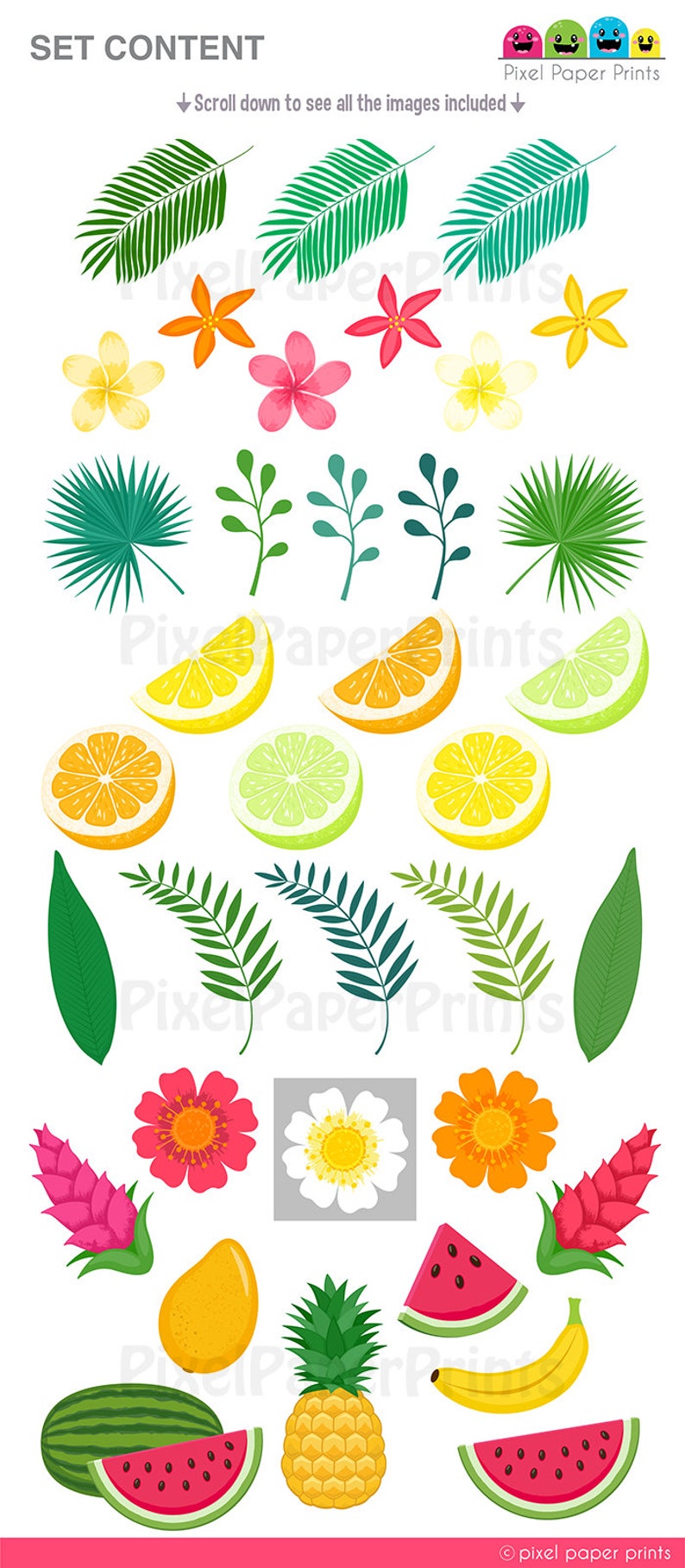 May include: A set of tropical fruit and flower illustrations, including a pineapple, mango, watermelon, banana, orange, lemon, lime, plumeria, ginger flower, and hibiscus. The illustrations are in a pixel art style and are perfect for crafting projects, scrapbooking, or digital design.