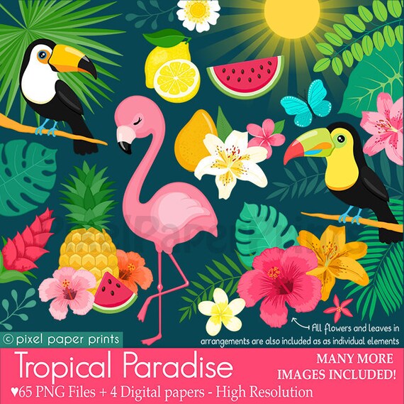 Tropical Paradise Flamingo Clipart Tropical Leaves Clip Art By Pixel Paper Prints Catch My Party