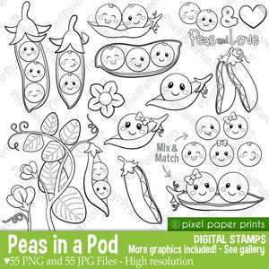 Peas in a Pod Clipart - Digital Stamps - Line art graphics to create coloring pages, worksheets, crafts & more - PNG and JPG - Printable