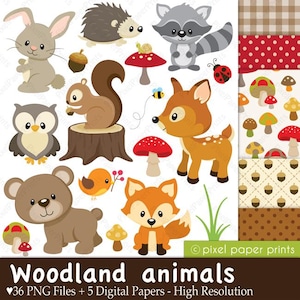 Woodland Animals Clip Art - PNG Forest Animals Graphics - Digital - Instant Download - Deer, squirrel, rabbit, owl, bear, raccoon and more