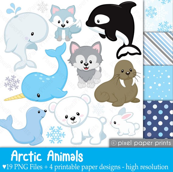 Arctic animals - Clipart and paper set Il_570xn